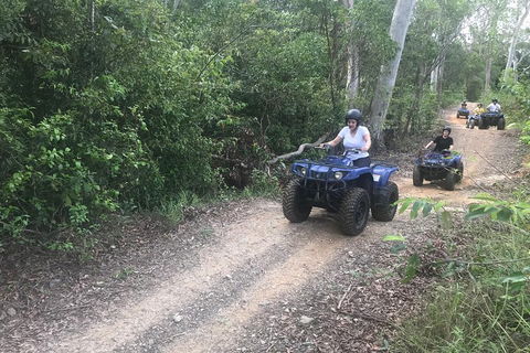 Cairns ATV Adventure Tour And Morning Train - Hervey Bay Accommodation 0