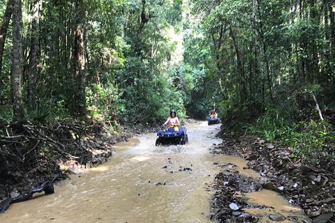 Cairns ATV Adventure Tour And Morning Train - Hervey Bay Accommodation 1