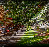 Fully Inclusive Blue Mountains Private Tour inc Scenic World  Featherdale entry - Hervey Bay Accommodation