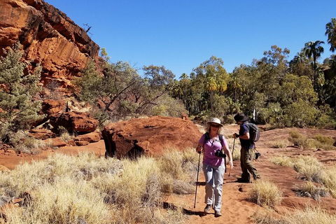 Palm Valley And Hermannsburg 1 Day 4WD Tour - Hervey Bay Accommodation 1