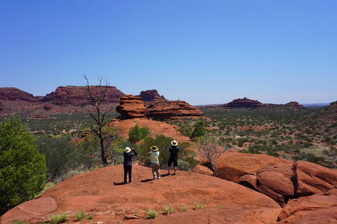 Palm Valley And Hermannsburg 1 Day 4WD Tour - Hervey Bay Accommodation 2