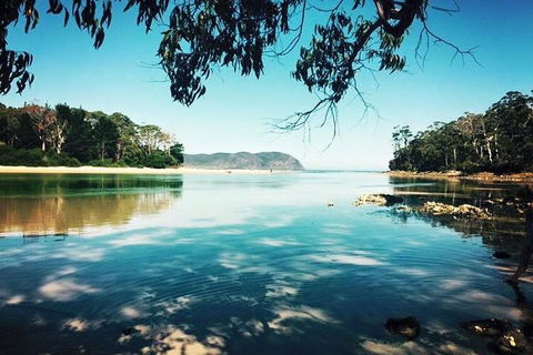 Full-Day Guided Bruny Island Tour From Hobart - Hervey Bay Accommodation 1