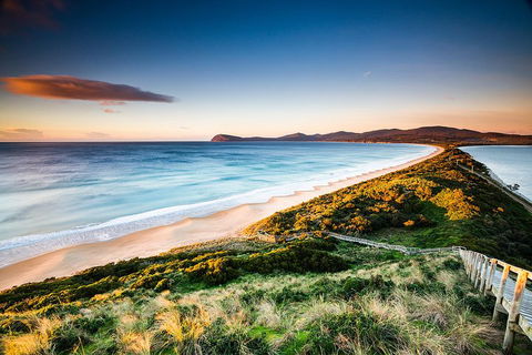 Full-Day Guided Bruny Island Tour From Hobart - Hervey Bay Accommodation 2