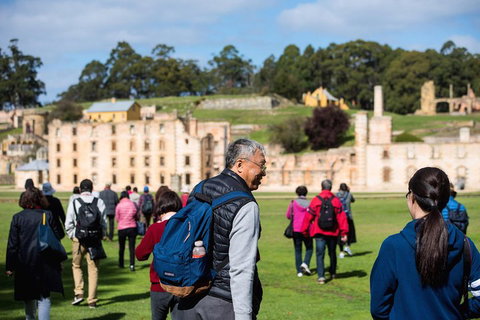 Port Arthur Express Shuttle - Hervey Bay Accommodation 4