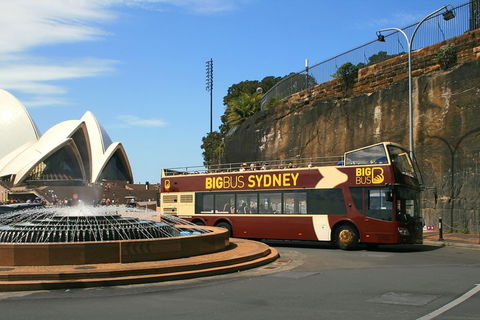 Big Bus Sydney And Bondi Hop-on Hop-off Tour - Tourism Hervey Bay 3