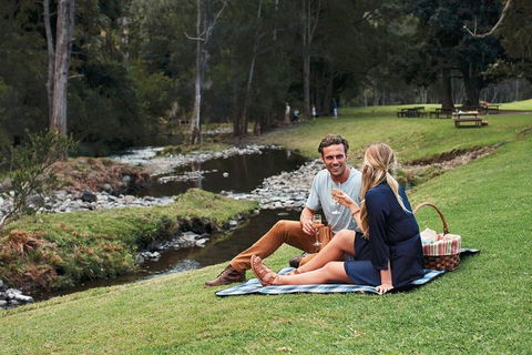 Mt Tamborine - Hinterland Wonders Self Guided - Tourism Hervey Bay 0