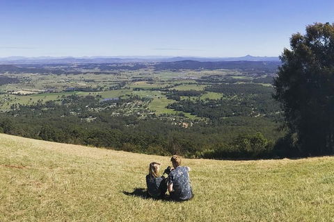 Mt Tamborine - Hinterland Wonders Self Guided - Tourism Hervey Bay 4