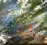 Mossman Gorge Adventure Day - Hervey Bay Accommodation