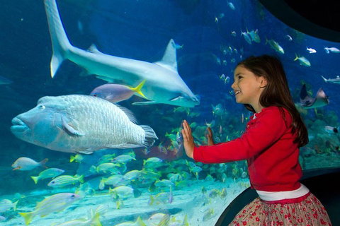 SEA LIFE Melbourne Aquarium Admission Ticket - Hervey Bay Accommodation 1