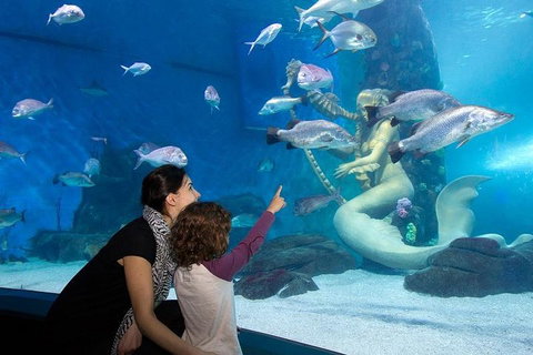 SEA LIFE Melbourne Aquarium Admission Ticket - Hervey Bay Accommodation 4