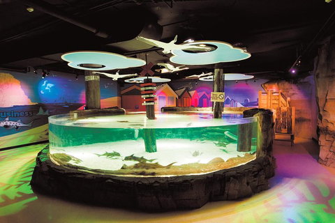 SEA LIFE Melbourne Aquarium Admission Ticket - Hervey Bay Accommodation 5