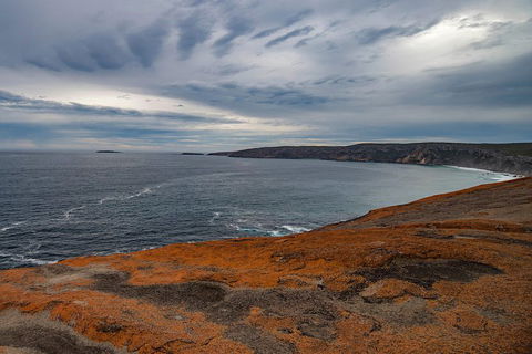 Kangaroo Island Luxury Small Group 'Flinders Chase Focus' Full Day Tour - Hervey Bay Accommodation 0