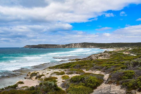 Kangaroo Island Luxury Small Group 'East End Explorer' Full Day Tour - Tourism Hervey Bay 0