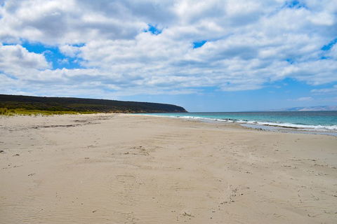 Kangaroo Island Luxury Small Group 'East End Explorer' Full Day Tour - Tourism Hervey Bay 3