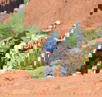 Afternoon Kata Tjuta Small Group Tour - Hervey Bay Accommodation