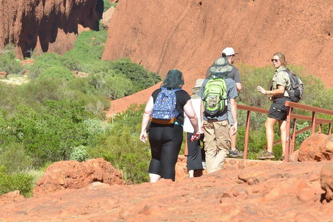 Afternoon Kata Tjuta Small Group Tour - Hervey Bay Accommodation 0