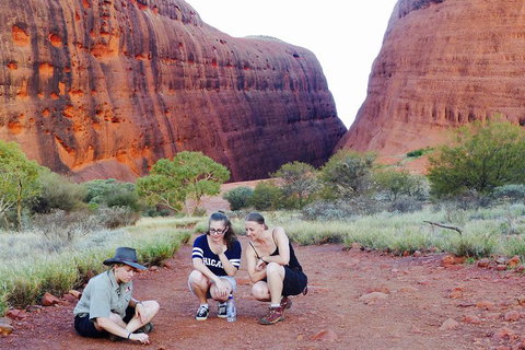 Afternoon Kata Tjuta Small Group Tour - Hervey Bay Accommodation 2