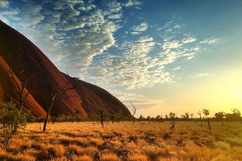 Highlights Of Uluru Including Sunrise And Breakfast - Hervey Bay Accommodation 0