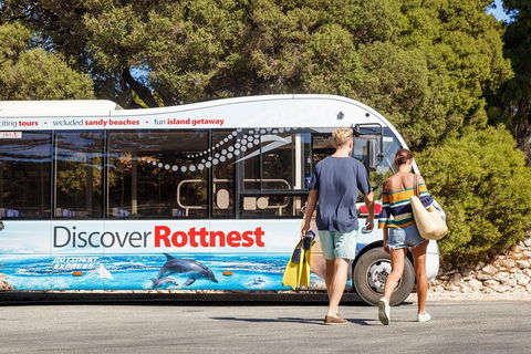 Discover Rottnest With Ferry & Bus Tour From Perth Or Fremantle - Hervey Bay Accommodation 1