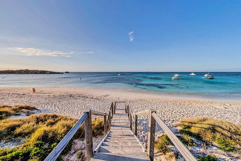 Discover Rottnest With Ferry & Bus Tour From Perth Or Fremantle - Hervey Bay Accommodation 4