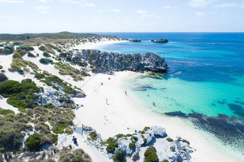 Discover Rottnest With Ferry & Bus Tour From Perth Or Fremantle - Hervey Bay Accommodation 5