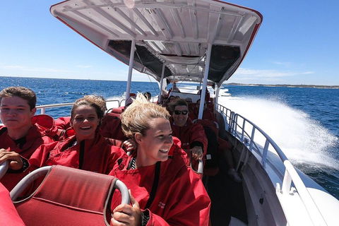Adventure Rottnest Tour With Ferry & Adventure Cruise From Perth Or Fremantle - Hervey Bay Accommodation 0