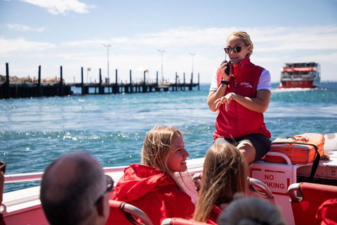 Adventure Rottnest Tour With Ferry & Adventure Cruise From Perth Or Fremantle - Hervey Bay Accommodation 4