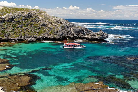 Adventure Rottnest Tour With Ferry & Adventure Cruise From Perth Or Fremantle - Hervey Bay Accommodation 5