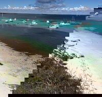 Experience Rottnest with Ferry  Bike Hire from Perth or Fremantle - Tourism Hervey Bay