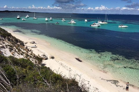 Experience Rottnest With Ferry & Bike Hire From Perth Or Fremantle - Hervey Bay Accommodation 0