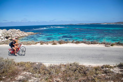 Experience Rottnest With Ferry & Bike Hire From Perth Or Fremantle - Hervey Bay Accommodation 2