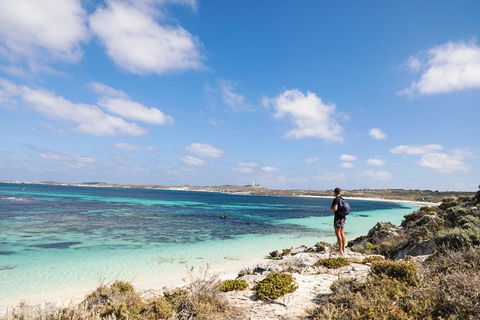 Experience Rottnest With Ferry & Bike Hire From Perth Or Fremantle - Hervey Bay Accommodation 3