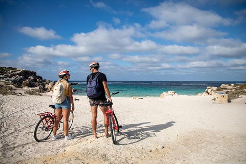 Experience Rottnest With Ferry & Bike Hire From Perth Or Fremantle - Hervey Bay Accommodation 5