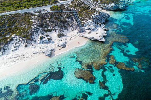 Rottnest Island Round-Trip Ferry From Perth Or Fremantle - Hervey Bay Accommodation 0