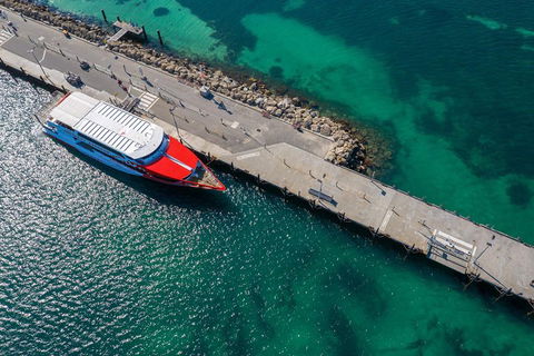 Rottnest Island Round-Trip Ferry From Perth Or Fremantle - Hervey Bay Accommodation 1
