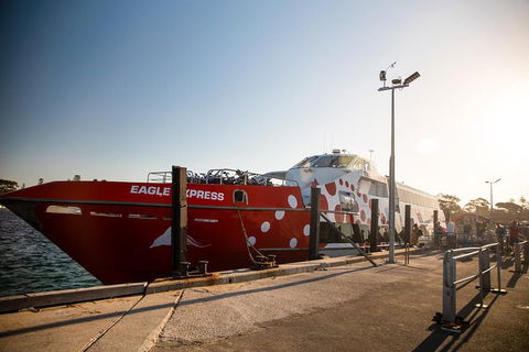 Rottnest Island Round-Trip Ferry From Perth Or Fremantle - Hervey Bay Accommodation 2
