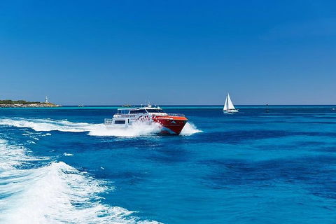 Rottnest Island Round-Trip Ferry From Perth Or Fremantle - Hervey Bay Accommodation 4
