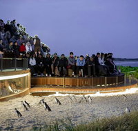 2-Day Great Ocean Road Mornington Peninsula and Phillip Island Tour - Hervey Bay Accommodation
