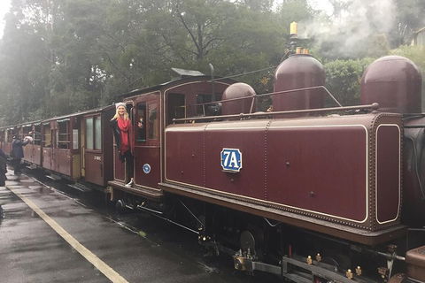 Puffing Billy, Moonlit Sanctuary & Penguins Day Tour - Tourism Hervey Bay 4