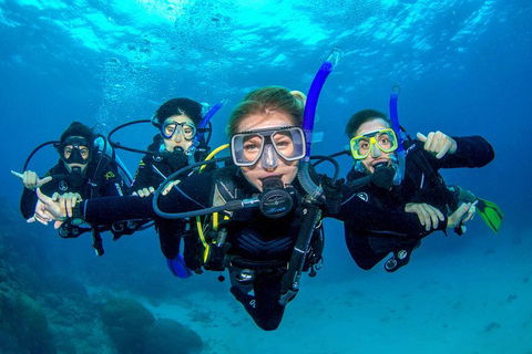 Great Barrier Reef Diving And Snorkeling Cruise From Cairns - Tourism Hervey Bay 0