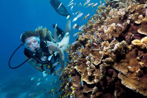 Great Barrier Reef Diving And Snorkeling Cruise From Cairns - Tourism Hervey Bay 1