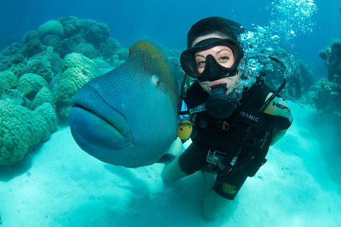 Great Barrier Reef Diving And Snorkeling Cruise From Cairns - Tourism Hervey Bay 2