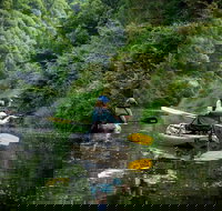 Byron Bay Rainforest Fishing - Hervey Bay Accommodation