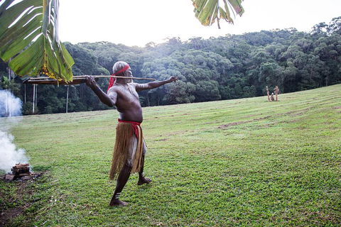 Classic Kuranda By Skyrail And Scenic Railway Including Rainforestation, Koala And Wildlife Park And Pamagirri Aboriginal Experi - Hervey Bay Accommodation 5