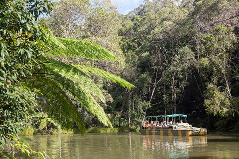 Best Of Kuranda Including Skyrail, Kuranda Scenic Railway And Rainforestation - Hervey Bay Accommodation 5