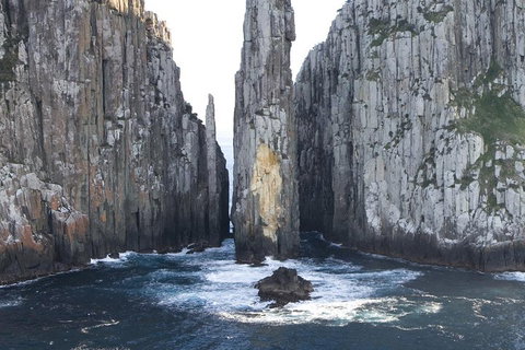 Tasman Island Cruises And Port Arthur Historic Site Day Tour From Hobart - Tourism Hervey Bay 2