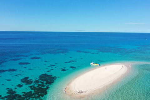 Ocean Safari Great Barrier Reef Experience In Cape Tribulation - Hervey Bay Accommodation 0
