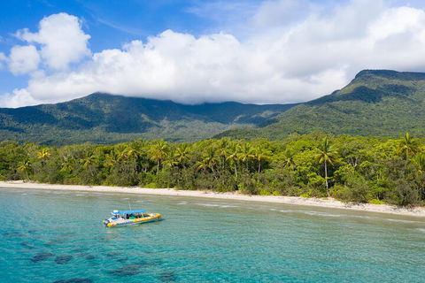 Ocean Safari Great Barrier Reef Experience In Cape Tribulation - Hervey Bay Accommodation 2