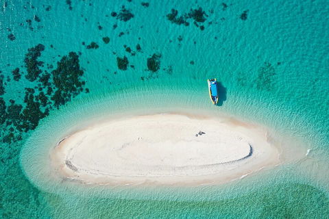 Ocean Safari Great Barrier Reef Experience In Cape Tribulation - Hervey Bay Accommodation 3