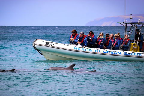 Kangaroo Island 75-Minute Ocean Safari - Hervey Bay Accommodation 4